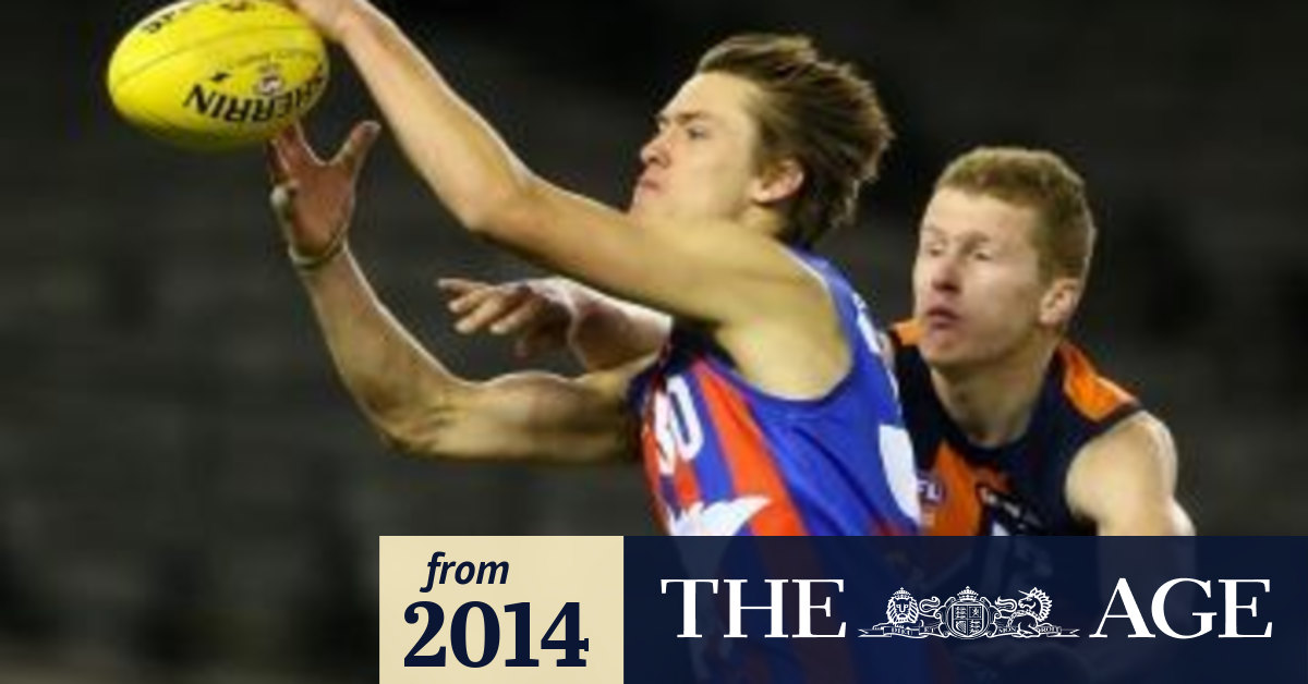Collingwood prospect Darcy Moore leads Oakleigh Chargers to TAC Cup title